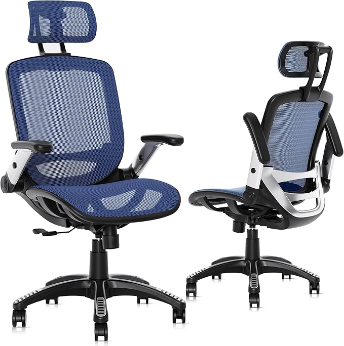 GABRYLLY Ergonomic Office Chair, High Back Mesh Desk Chair by GABRYLLY