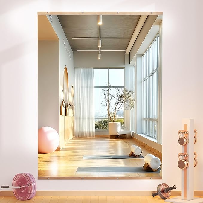 Hasipu 2Pcs 55''x20'' Home Gym Mirror Large Full Length Wall Mounted Full Body by Whatssuitableisthebest