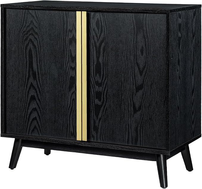 Sango Cortland 2-Door Accent Cabinet, Sleek Black Storage Cabinet - Image 4