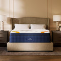 Premier Rest 14" Twin XL Mattress by DreamCloud