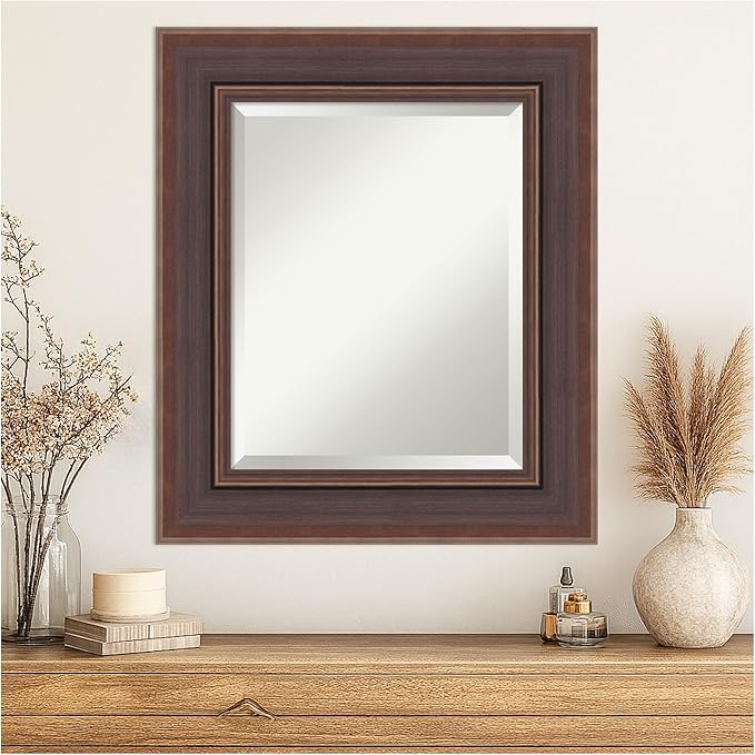 Amanti Art Brown Wall Mirror 28x24 Moab Brown Bronze Rectangle Bathroom Mirror - Image 4