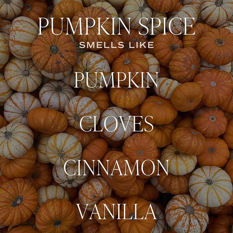 Sweet Water Decor Pumpkin Spice Reed Diffuser, Autumn Scented Premium Fragrance - Image 2