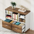 Tribesigns 2-Drawer Wood File Cabinet, Mobile Lateral Filing Cabinet by Tribesigns