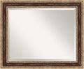 Amanti Art Bronze Bathroom Mirror by AmantiArt