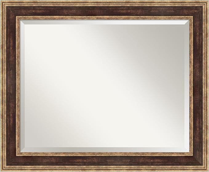 Amanti Art Bronze Bathroom Mirror by AmantiArt