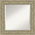 Amanti Art Silver Bathroom Mirror by AmantiArt