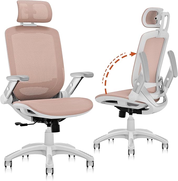 GABRYLLY Ergonomic Office Chair, High Back Home Desk Chair by GABRYLLY