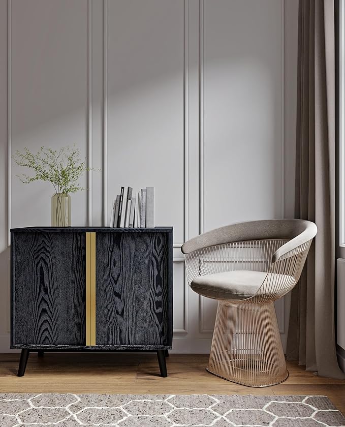 Sango Cortland 2-Door Accent Cabinet, Sleek Black Storage Cabinet - Image 2
