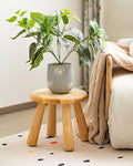 100% Solid Wood Mushroom Step Stool, Small Wooden Stool by Unknown