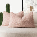 Foindtower Set of 2 Curly Teddy Wool Pillow Covers Decorative Boucle Textured by Foindtower