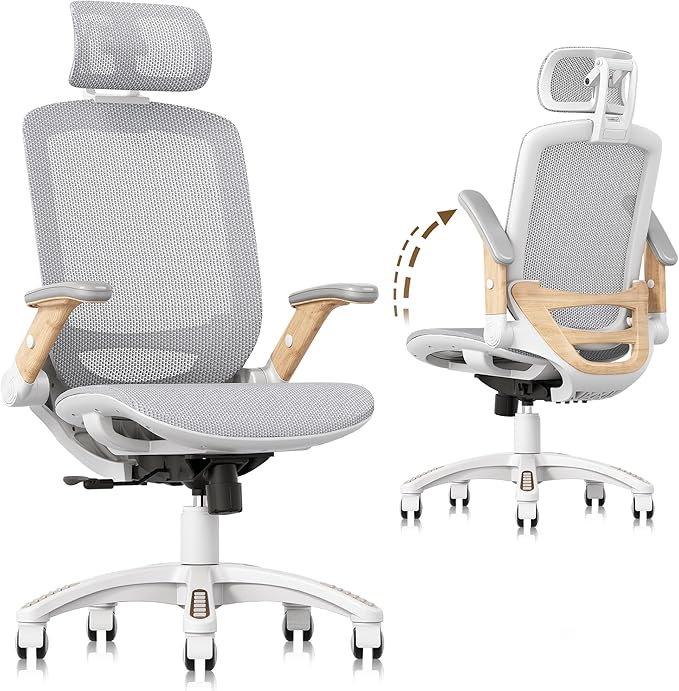 GABRYLLY Ergonomic Office Chair, High Back Home Desk Chair by GABRYLLY
