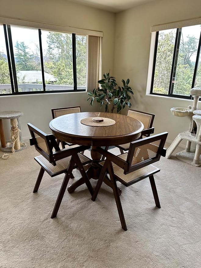 Rattan Accent Chairs, Modern Mid Century Dining Chairs Set of 2, Comfy Armchairs - Image 5