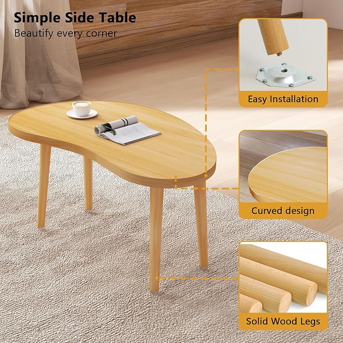 Mango Coffee Table Low Table - Image 4