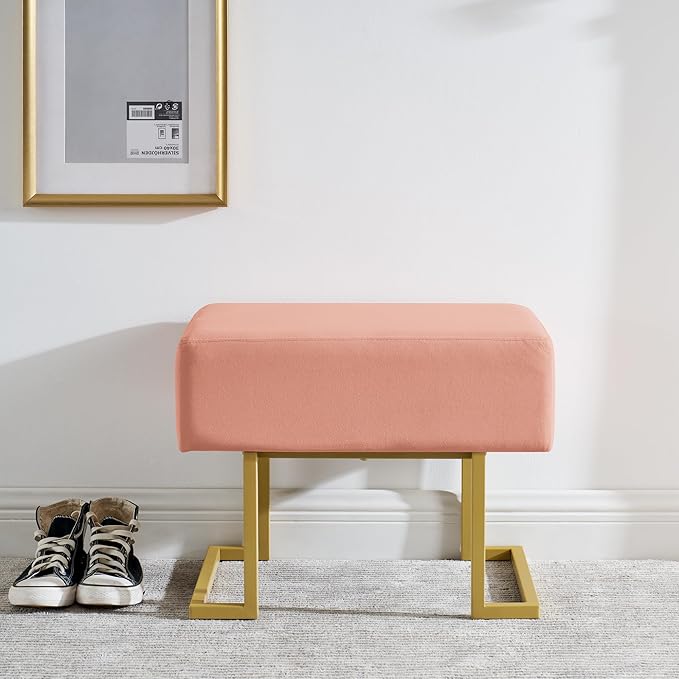 Modern Style Bedroom Single Seat Bench, Cushioned Bed end Stool, Living Room - Image 4