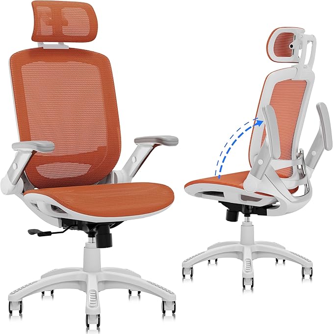 GABRYLLY Ergonomic Office Chair, High Back Home Desk Chair by GABRYLLY