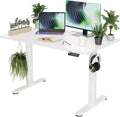 Claiks Electric Standing Desk, Adjustable Height Stand up Desk, 48x24 Inches by CLAIKS