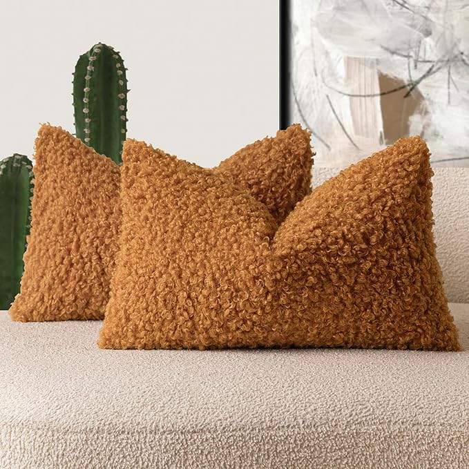 Foindtower Set of 2 Curly Teddy Wool Pillow Covers Decorative Boucle Textured by Foindtower