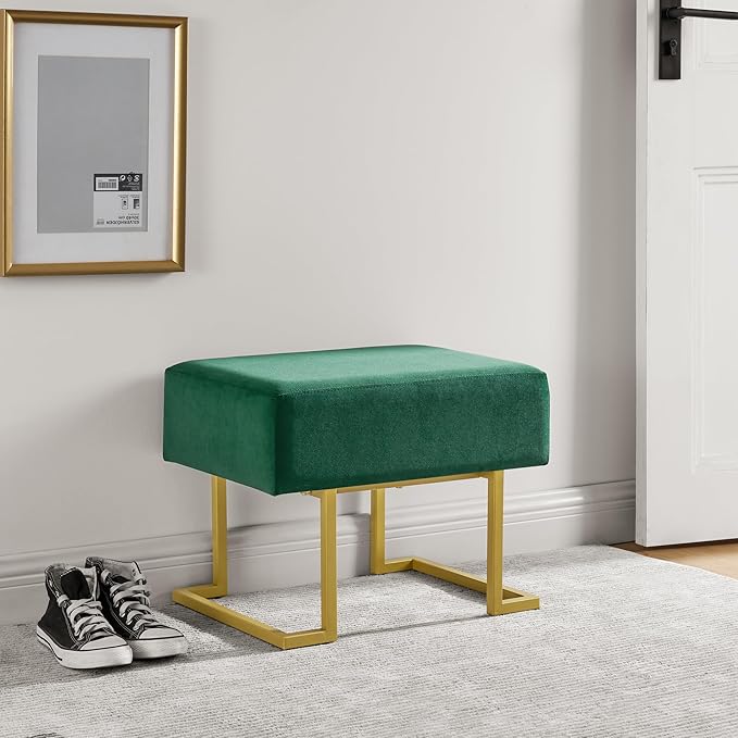 Modern Style Bedroom Single Seat Bench, Cushioned Bed end Stool, Living Room by ECLYLFurniture