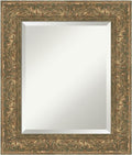 Amanti Art Bronze Bathroom Mirror by AmantiArt