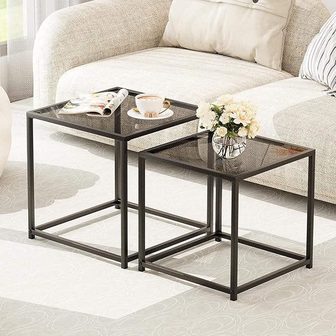 Garden 4 you Coffee Table Set of 2, Modern Glass Nesting Table, Metal Frame by Garden4you