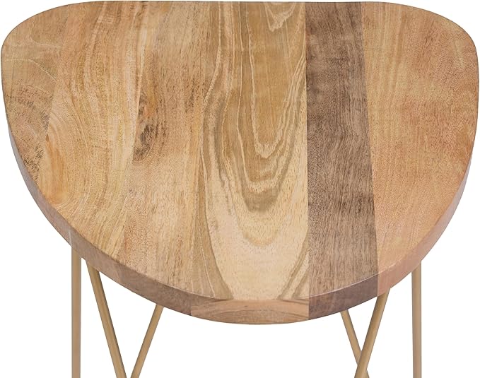 SIMPLIHOME Patrice Modern 18 inch Wide Metal and Wood Accent Side Table in - Image 7