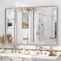 48x30 Silver Brushed Bathroom Mirror by CHARMOR