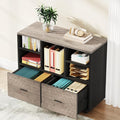 Tribesigns 2-Drawer Wood File Cabinet, Mobile Lateral Filing Cabinet by Tribesigns