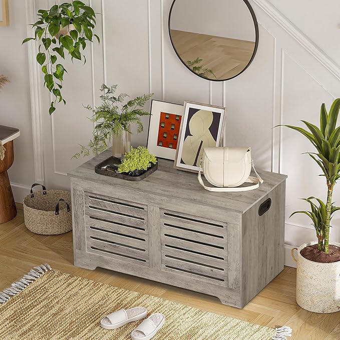 DINZI LVJ Storage Chest, Flip-Top Wooden Toy Box - Image 2