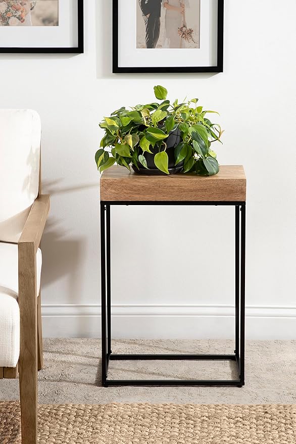 Kate and Laurel Karlsen Wood and Metal Narrow Side Table; 16 x 24 x 8; Natural - Image 2