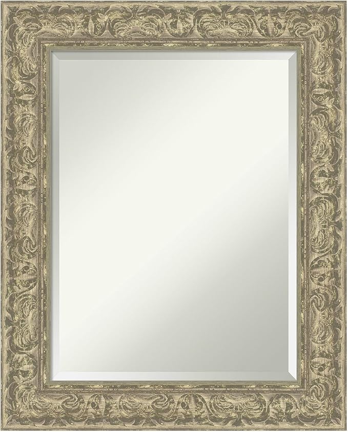 Amanti Art Silver Bathroom Mirror by AmantiArt