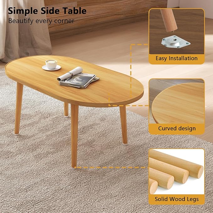 Oval Coffee Table Low Table - Image 4