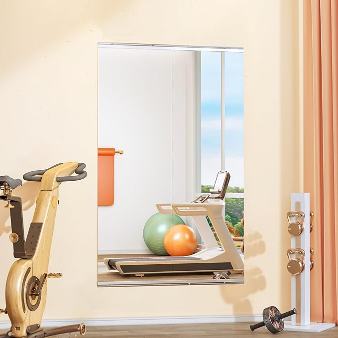Hasipu Home Gym Mirror 55" L x 17" W by Whatssuitableisthebest