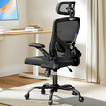 Marsail Ergonomic Mesh Office Chair High Back Desk Chair Adjustable Lumbar by Marsail