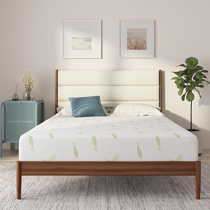 NapQueen Twin Size, 6 Inch Anula Green Tea Infused Memory Foam Mattress by NapQueen