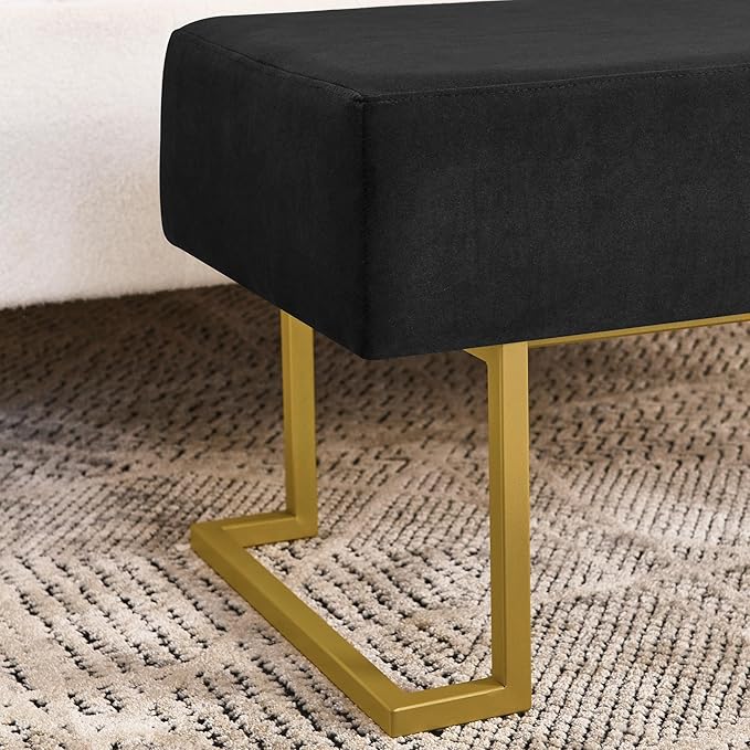 Modern Style Bedroom Double Seat Bench, Cushioned Bed end Stool, Living Room - Image 6