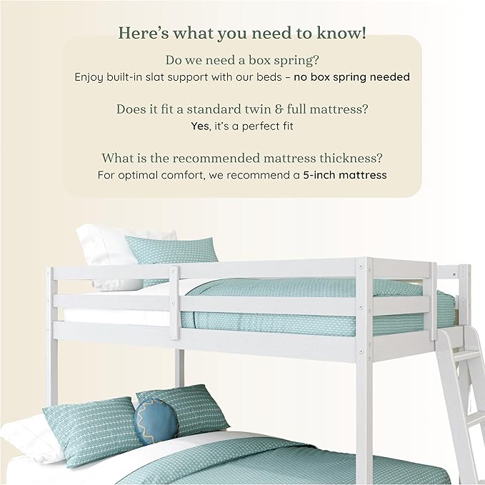 Grain & Grove Bear Twin Over Full Bunk Bed, Low Bunk Bed Frame - Image 5