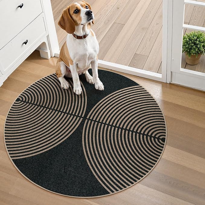 Lahome Modern Rainbow Round Washable Rug, 3ft Circular Indoor Outdoor Entryway - Image 5