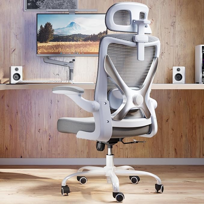 Ergonomic Office Chair by Ergalithic