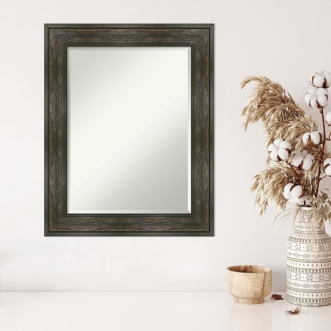 Amanti Art Brown Wall Mirror 30x24 Rail Rustic Char Rectangle Bathroom Mirror - Image 5