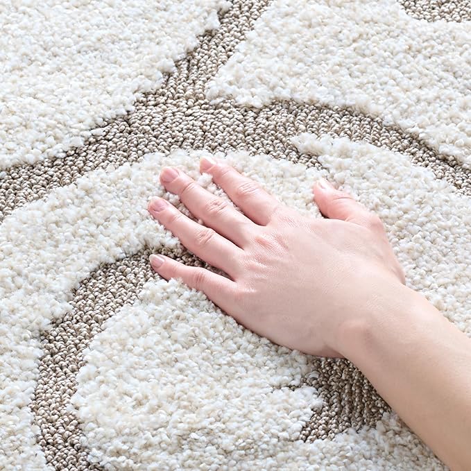 SAFAVIEH Florida Shag Collection Accent Rug by SAFAVIEH