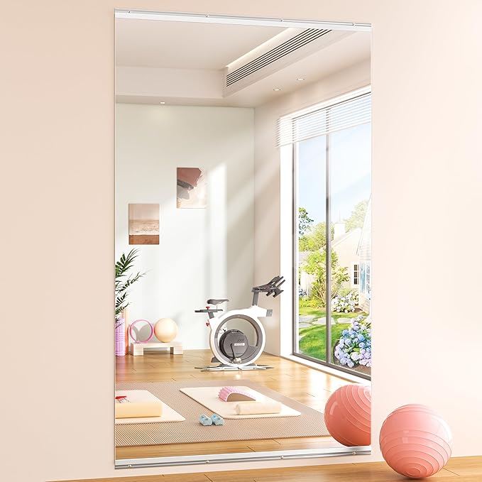 Hasipu Home Gym Mirror 95" L x 39" W by Whatssuitableisthebest