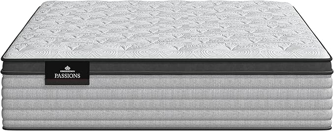 Kingsdown Passions Aspiration 14.75" Pillow Top Mattress Queen - Image 2