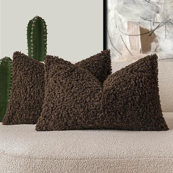 Foindtower Set of 2 Curly Teddy Wool Pillow Covers Decorative Boucle Textured by Foindtower