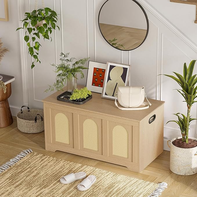 DINZI LVJ Storage Chest, 39.4" Rattan-Like Box - Image 7