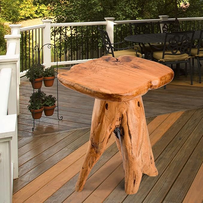 Mushroom Side Table, 18.9 inch Tall Live Edge Wood Stool, Freeform Natural - Image 5
