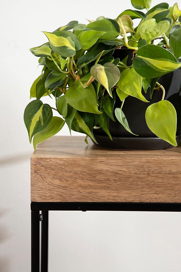 Kate and Laurel Karlsen Wood and Metal Narrow Side Table; 16 x 24 x 8; Natural - Image 5