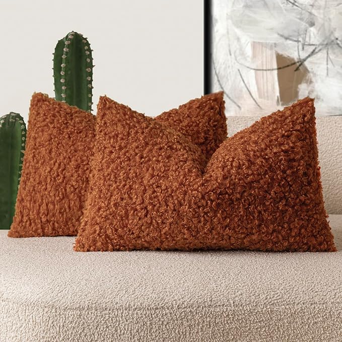 Foindtower Set of 2 Curly Teddy Wool Pillow Covers Decorative Boucle Textured by Foindtower