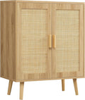 Iwell Storage Cabinet with 2 Shelves, Rattan Cabinet with 2 Doors, Sideboard by IWELL