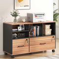 2 Drawer Wood Mobile Large Lateral File Cabinet by Nosepen