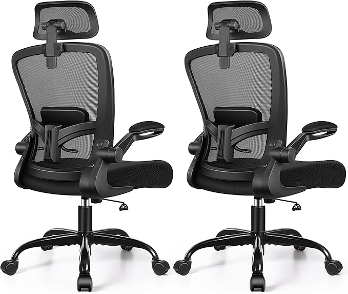 FelixKing Ergonomic Office Chair, Headrest Desk Chair by FelixKing